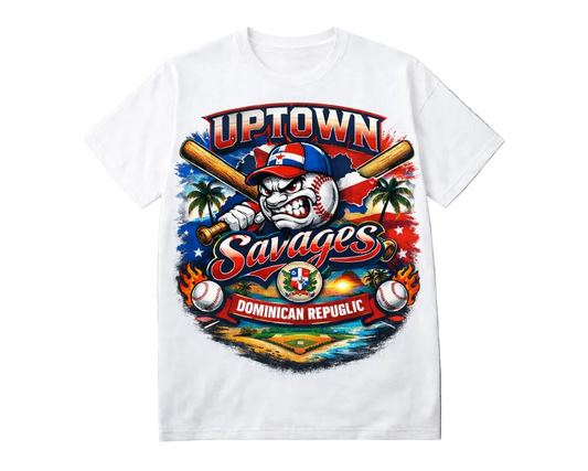 Dominican Republic baseball